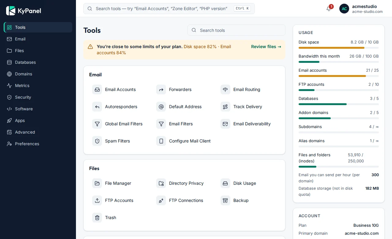 Customer panel: the tools of a hosting account grouped by area